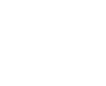 Bike icon